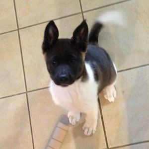 Meet your Posher, Justin